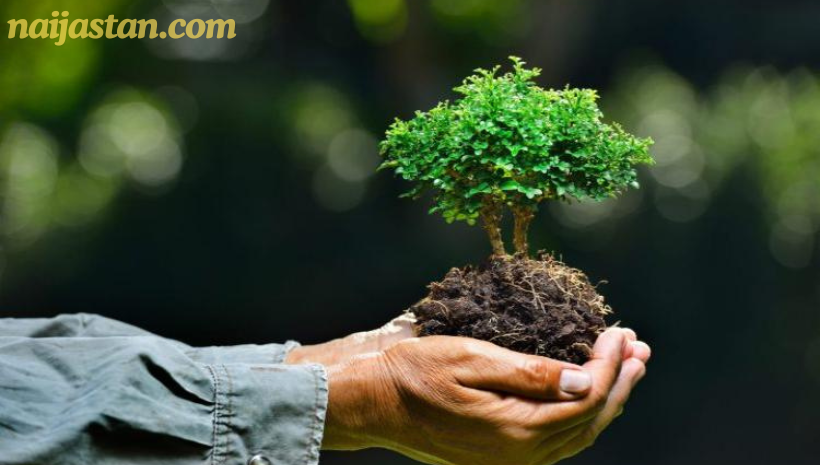 MELESTARIKAN ALAM DAN MENJAGA LINGKUNGAN